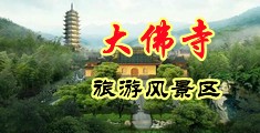 黄色视频大鸡巴搞中国浙江-新昌大佛寺旅游风景区